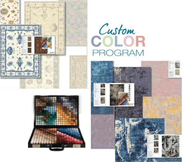Custom Color Program